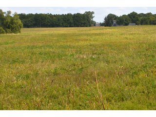 Dekalb County, Indiana Farmland - MAJOR LAND AUCTION - 516+/- ACRES OFFERED IN 18 TRACTS OR COMBINATIONS IN DEKALB COUNTY, INDIANA